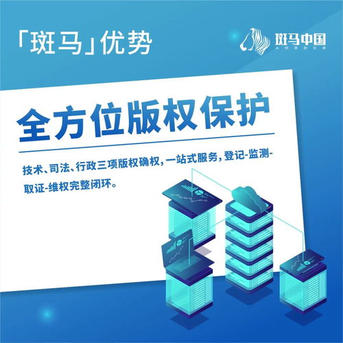 解讀斑馬 卓越的項(xiàng)目策劃與公關(guān)服務(wù)優(yōu)勢