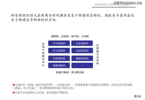 新組織設(shè)計(jì)管理咨詢項(xiàng)目建議書 項(xiàng)目策劃與公關(guān)服務(wù)